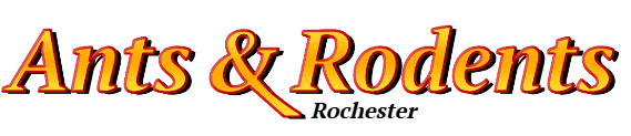 Rochester Ant Exterminator & Rodent Control Company Logo